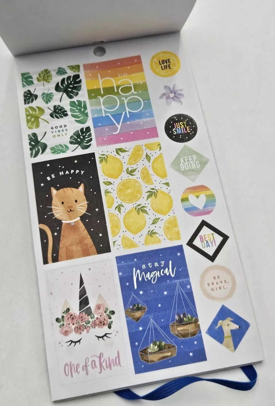 Brand New The Happy Planner HAPPY ILLUSTRATIONS Stickers Sheets 521 Pieces