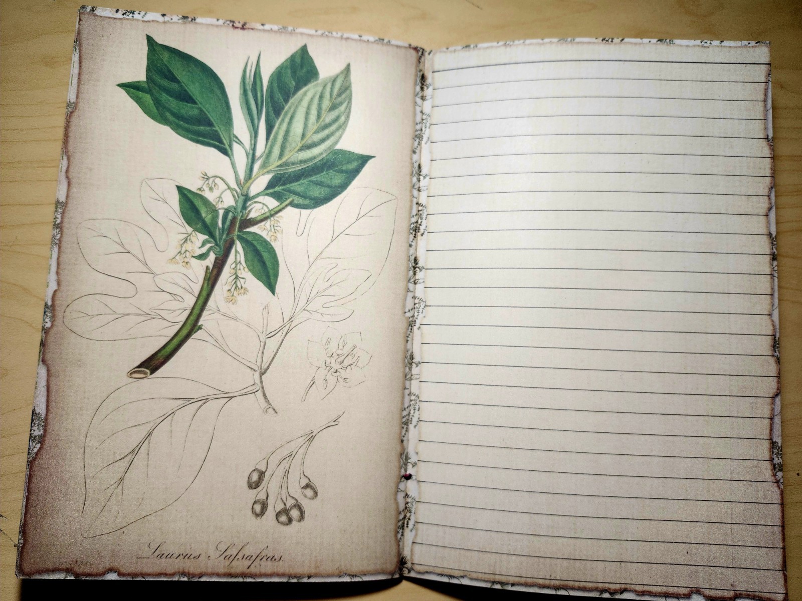 Junk Journal Booklet “BOTANY” Handmade Botanical Wildflowers Lg 8.5″x5.5″ 40pgs