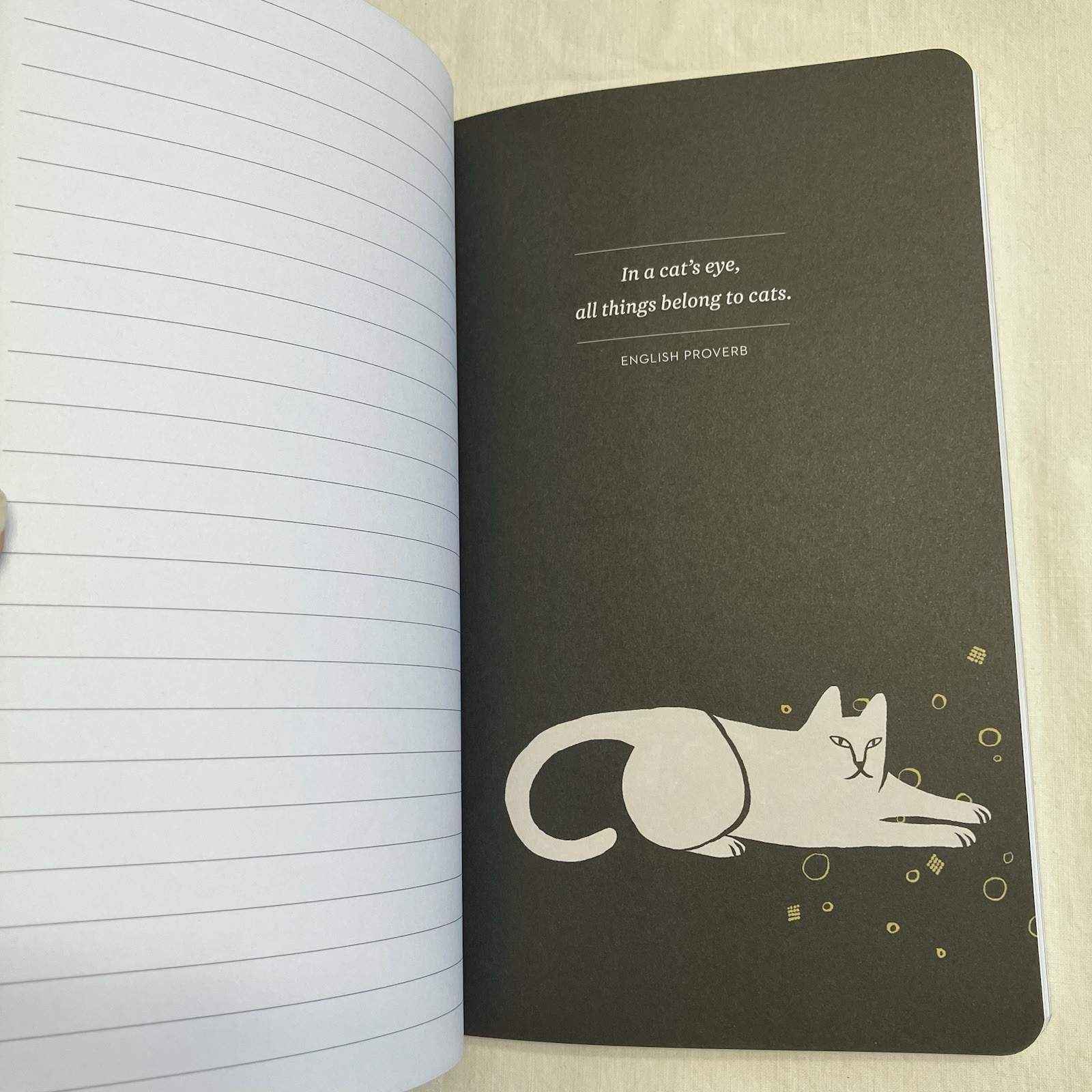 “There Are No Ordinary Cats” Colette 5×8″ Journal 128 Pages Lined NEW Compendium