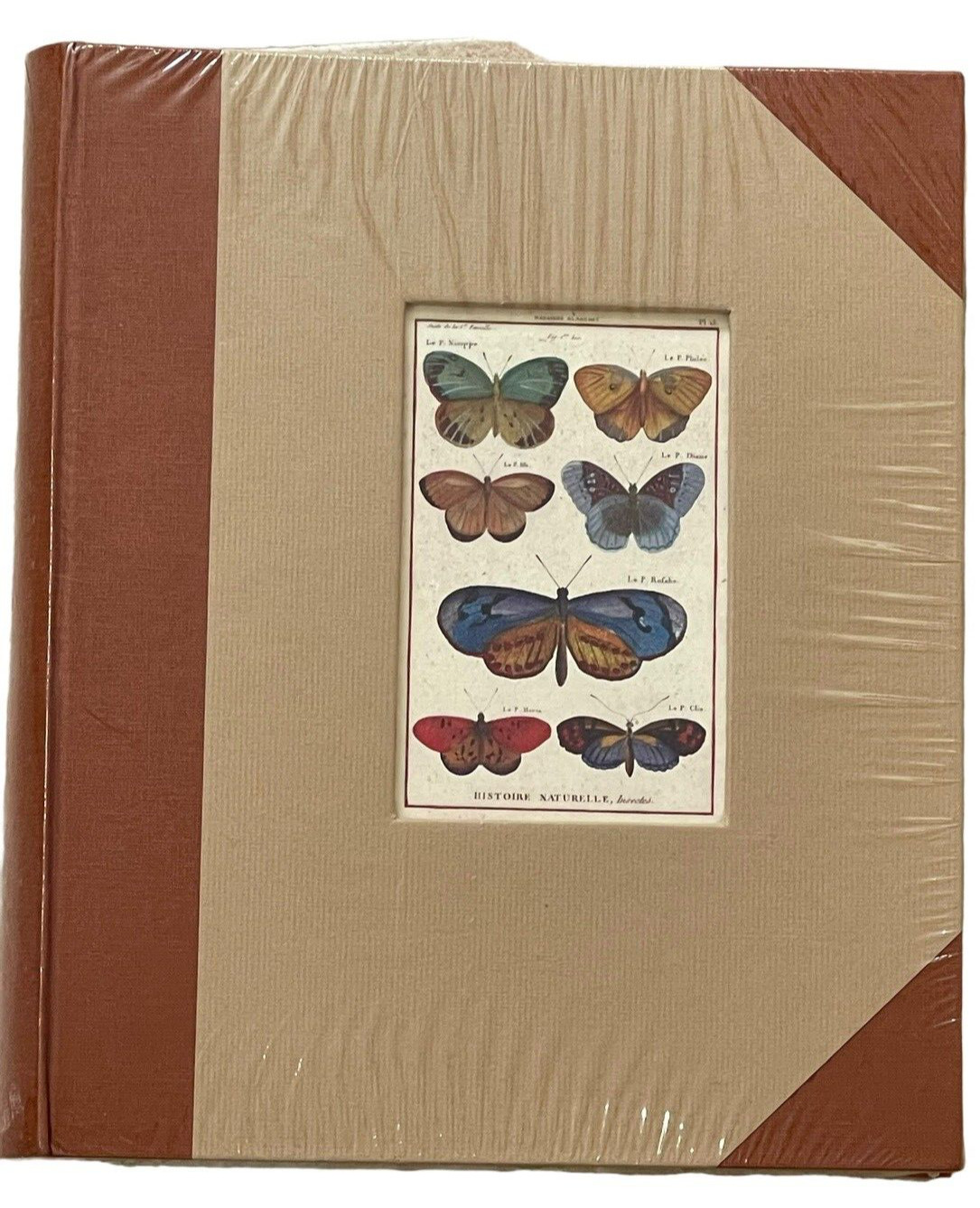 New Cavallini & Co Butterfly Photo Album Hand-Bound, Acid-Free Paper 8×10 Italy