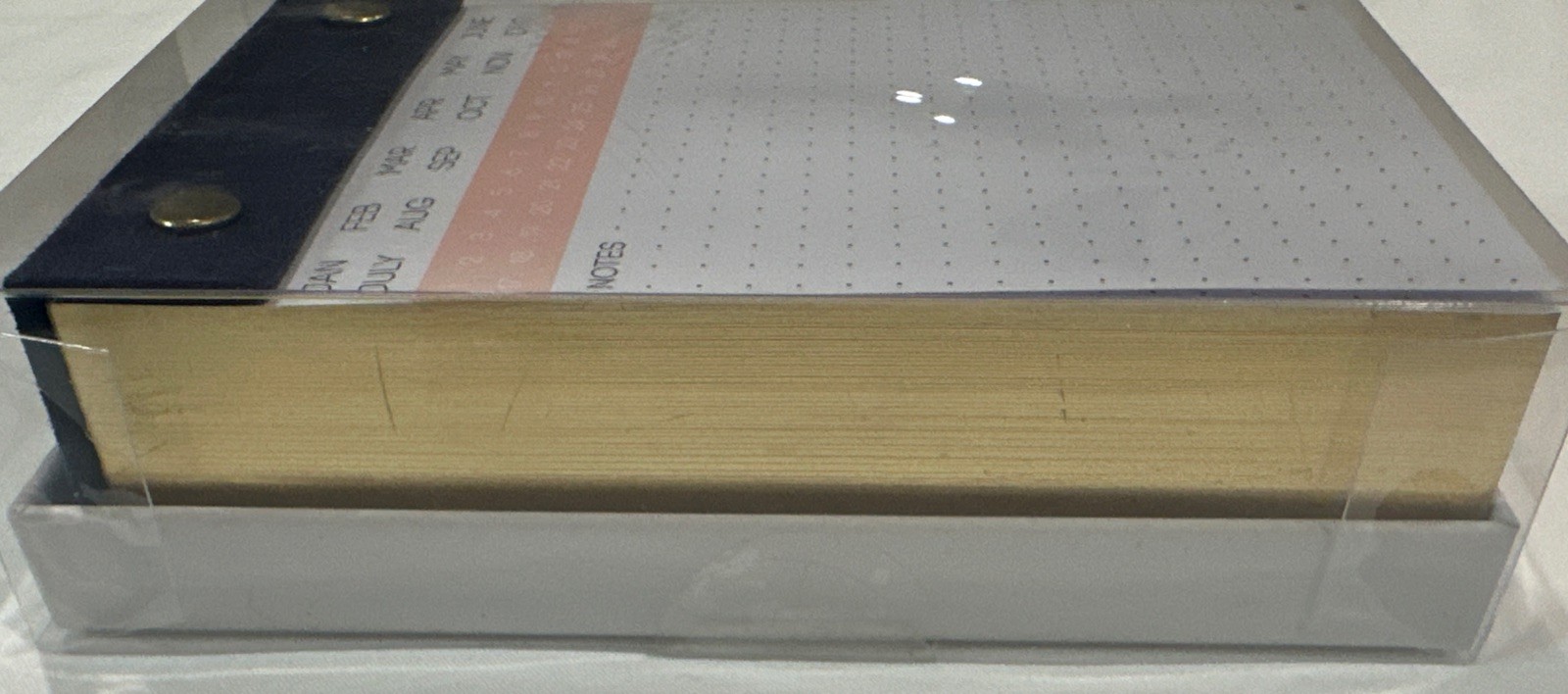 NIOP See Jane Work Desktop Choose Your Month/Date Notes: 300 Gold Lined Sheets