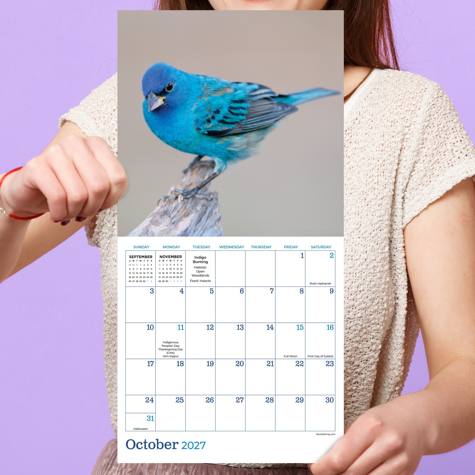2027 Backyard Birds Mini Calendar