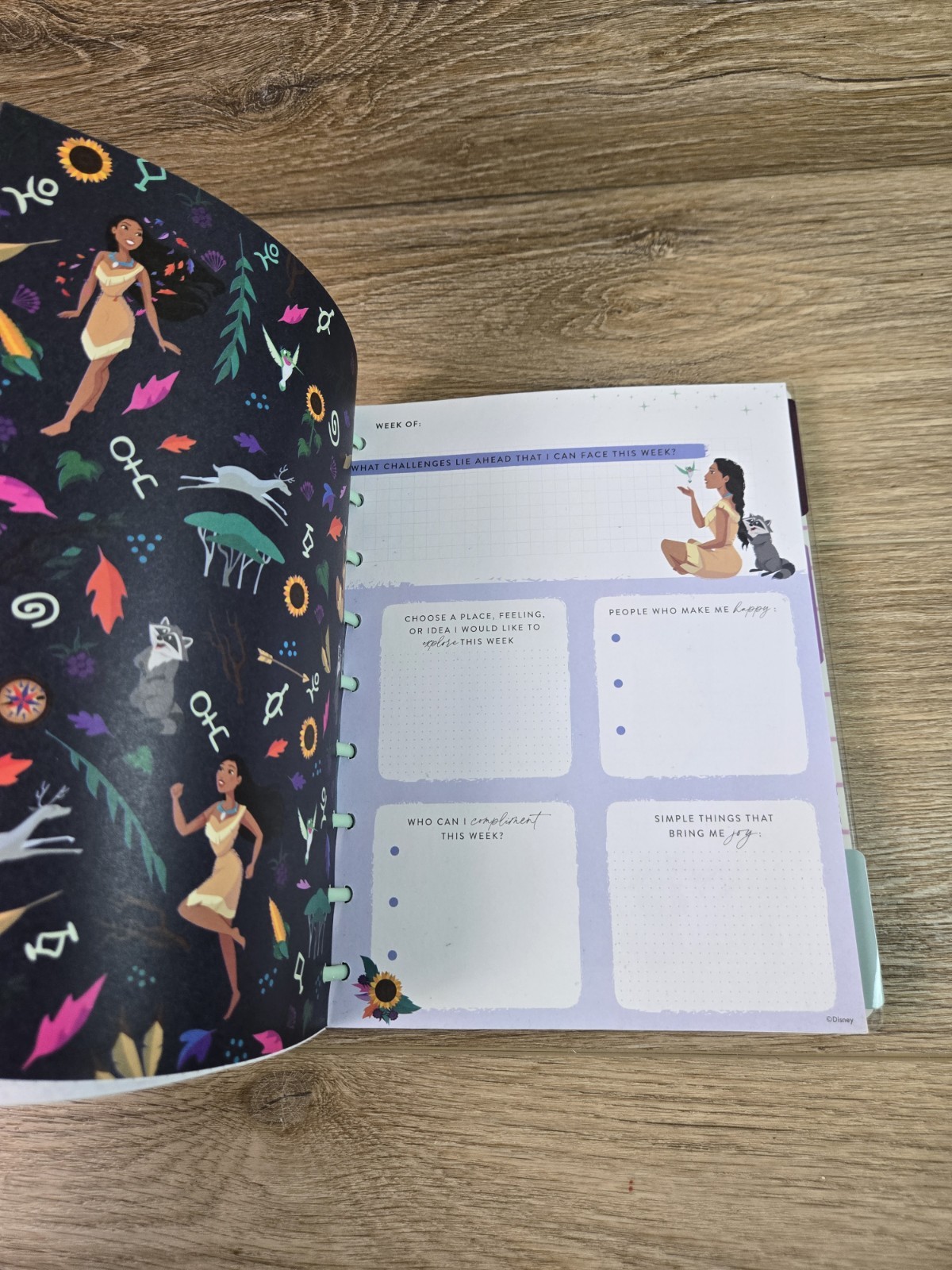 Happy Planner Haul Mix Lot. Disney Binder, 80+ Mics Calander Stickers. Get Fit