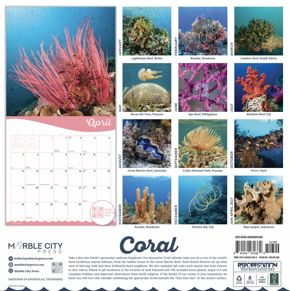 Coral | 2026 Coral Reef Wall Calendar | 12″ x 24″ | Marble City Press