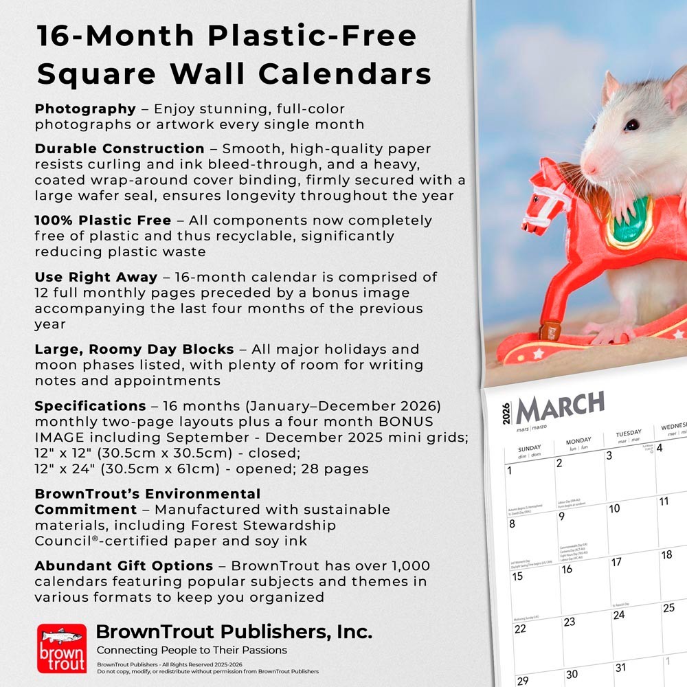 Rats | 2026 12×24″ (Hanging) Monthly Square Wall Calendar | Plastic-Free