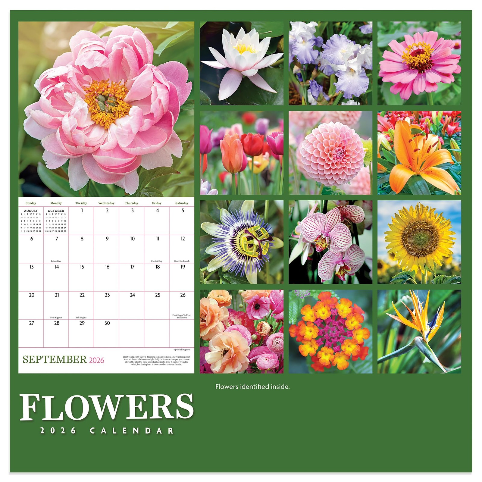 TF Publishing 2026 Flowers Mini Calendar with Monthly Grids for Mini,