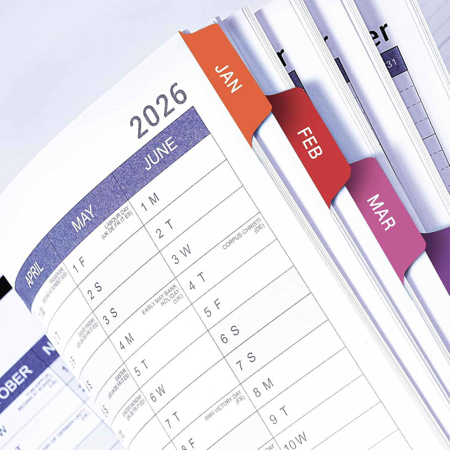 Appointment Planner 2026 from Jan. 2026 – Dec. 2026 9″ x 11″, Daily/Hourly Plann