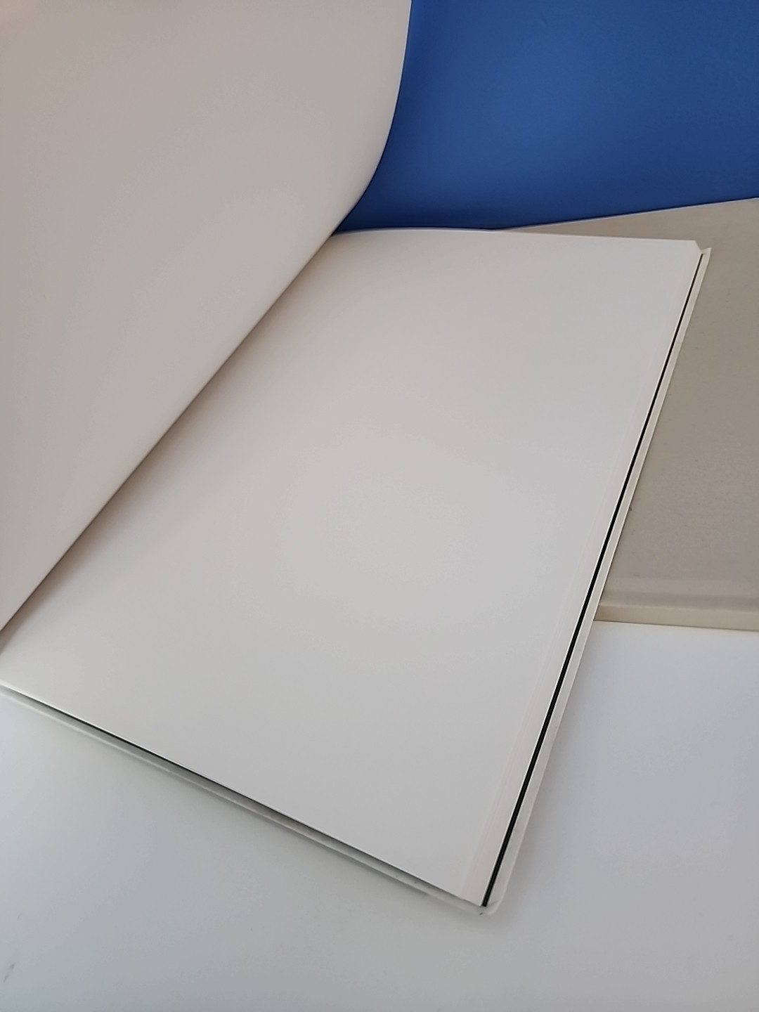 ✨️GUCCI Blank Hardcover Notebook! NEW