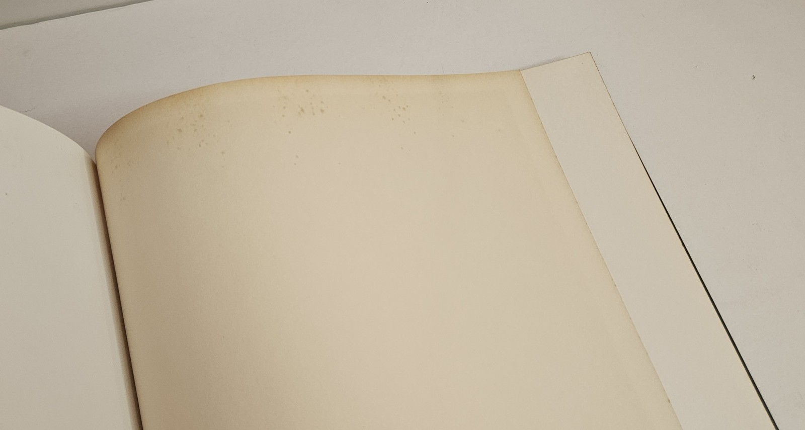 Anne Geddes Notebook Journal – Baby Holding Roses UnRuled Blank Pages 1996