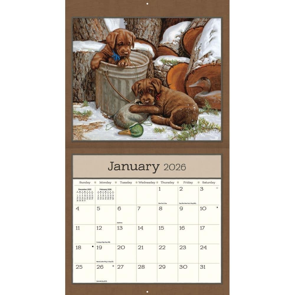 Lang, Puppy 2026 Wall Calendar by Jim Lamb, 13.4” X 12”, 12-Month 2026