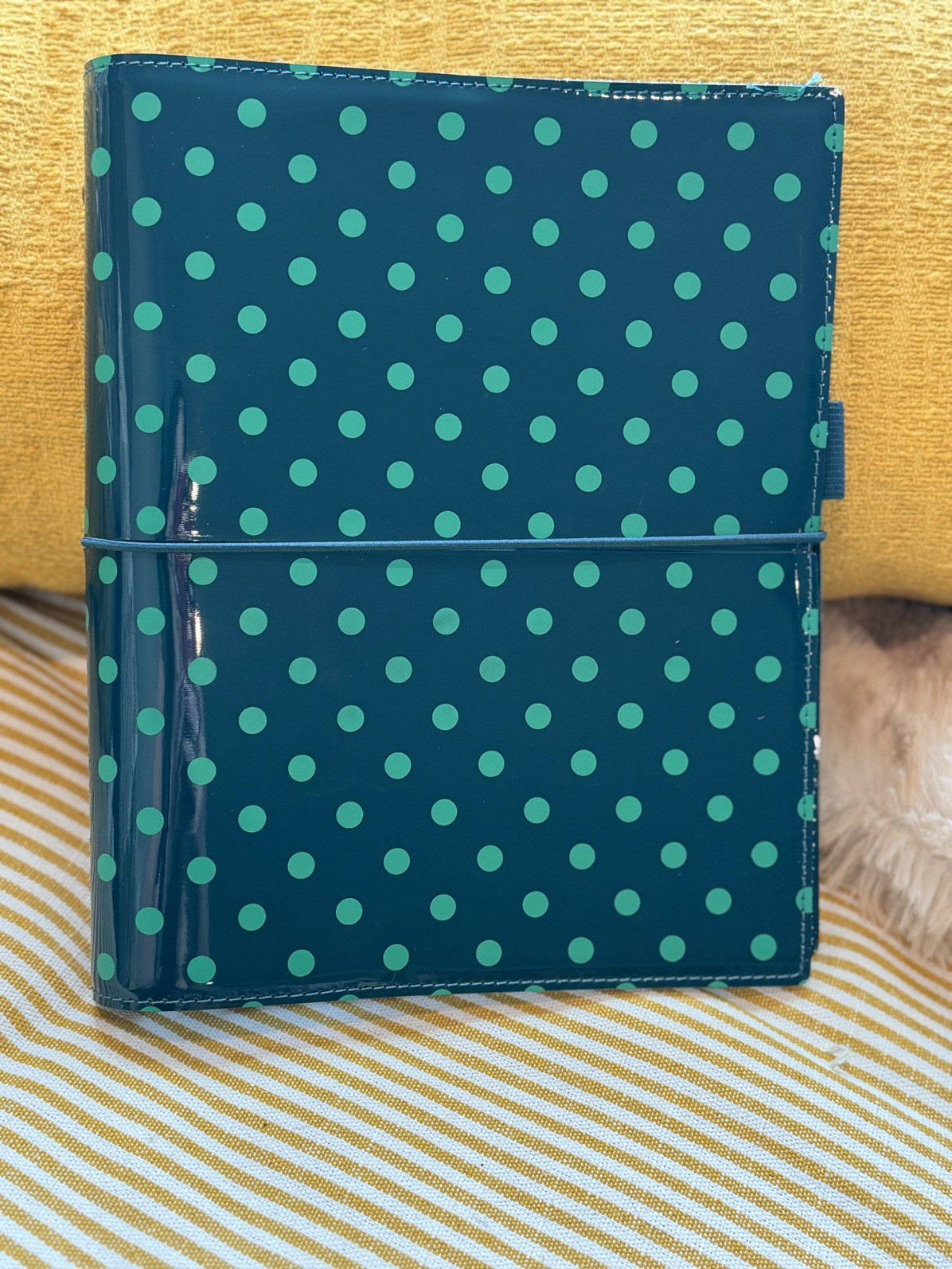 Filofax Domino Patent A5 organizer Planner 30mm Ring Rare Discontinued NEW