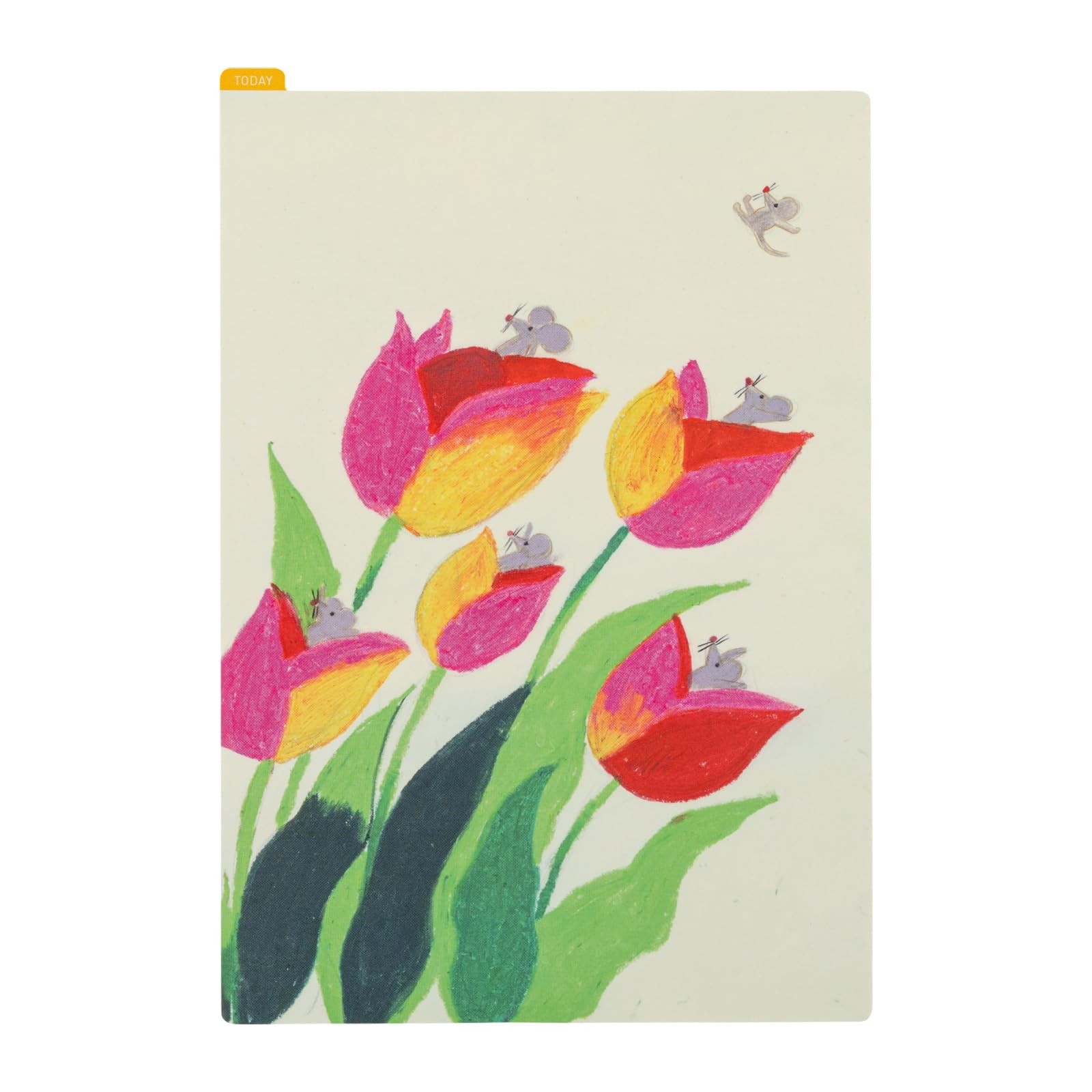 Hobonichi Techo Planner Accessories Keiko Shibata: Pencil Board for A5 Size (…