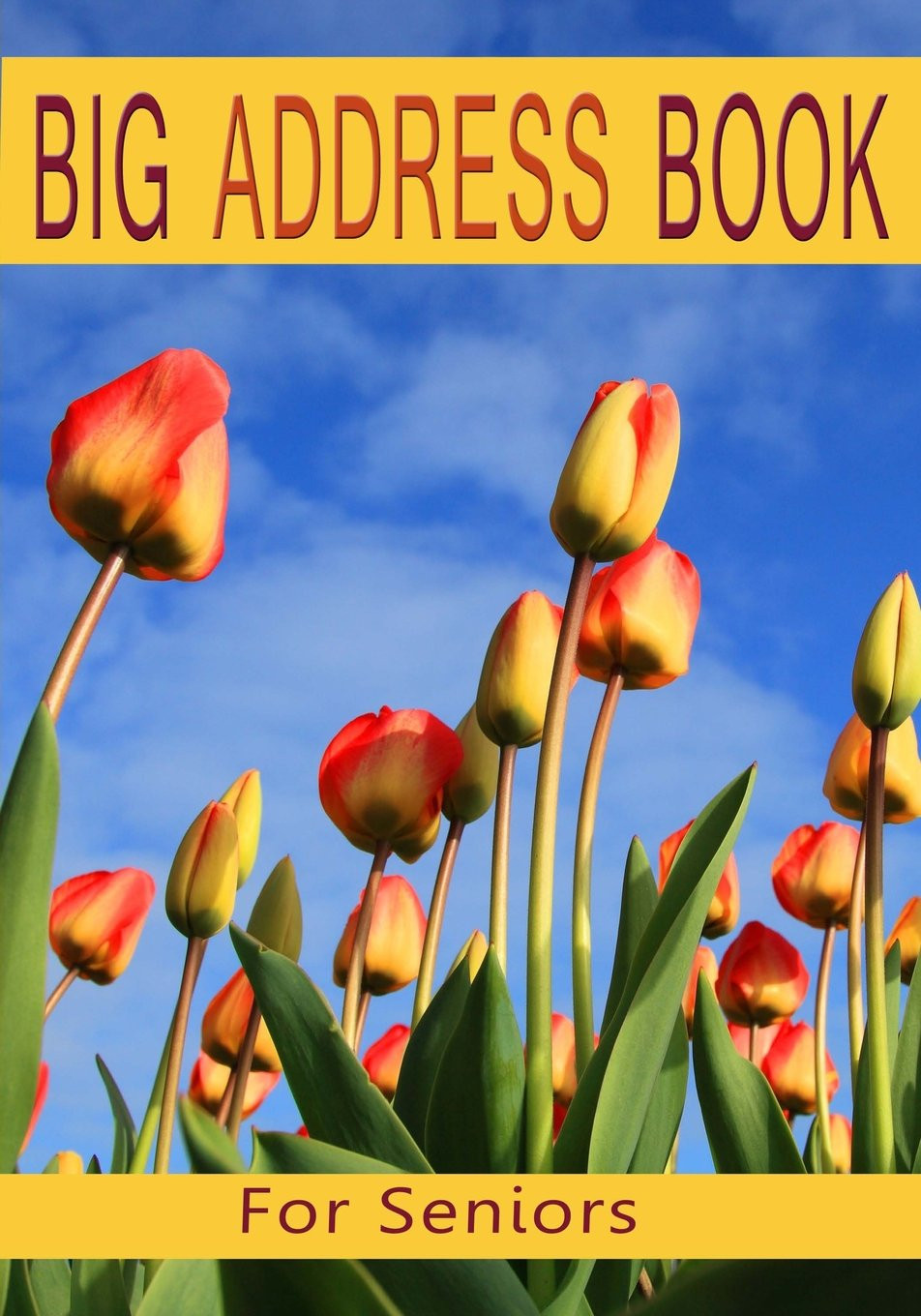Big Address Book For Seniors: Large Print Organized By A-Z & Birthday Reminder