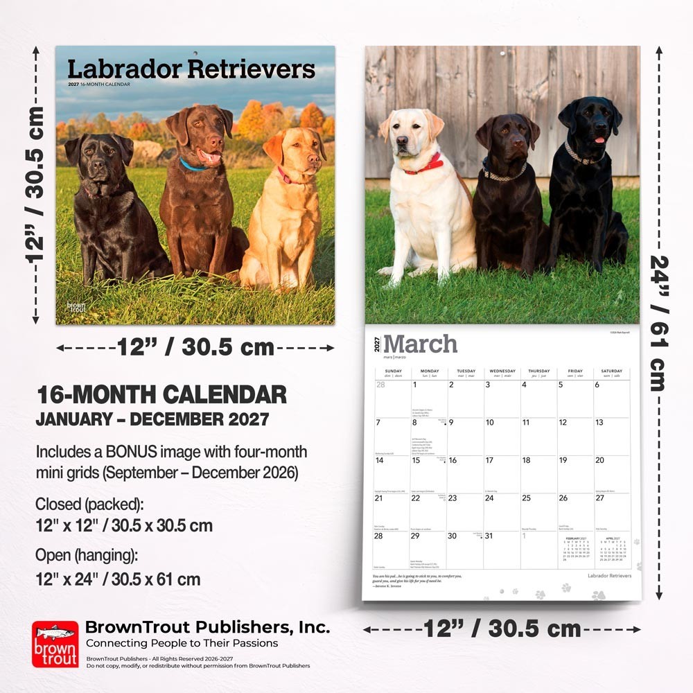 Labrador Retrievers | 2027 12×24″ (Hanging) Square Wall Calendar | Plastic-Free