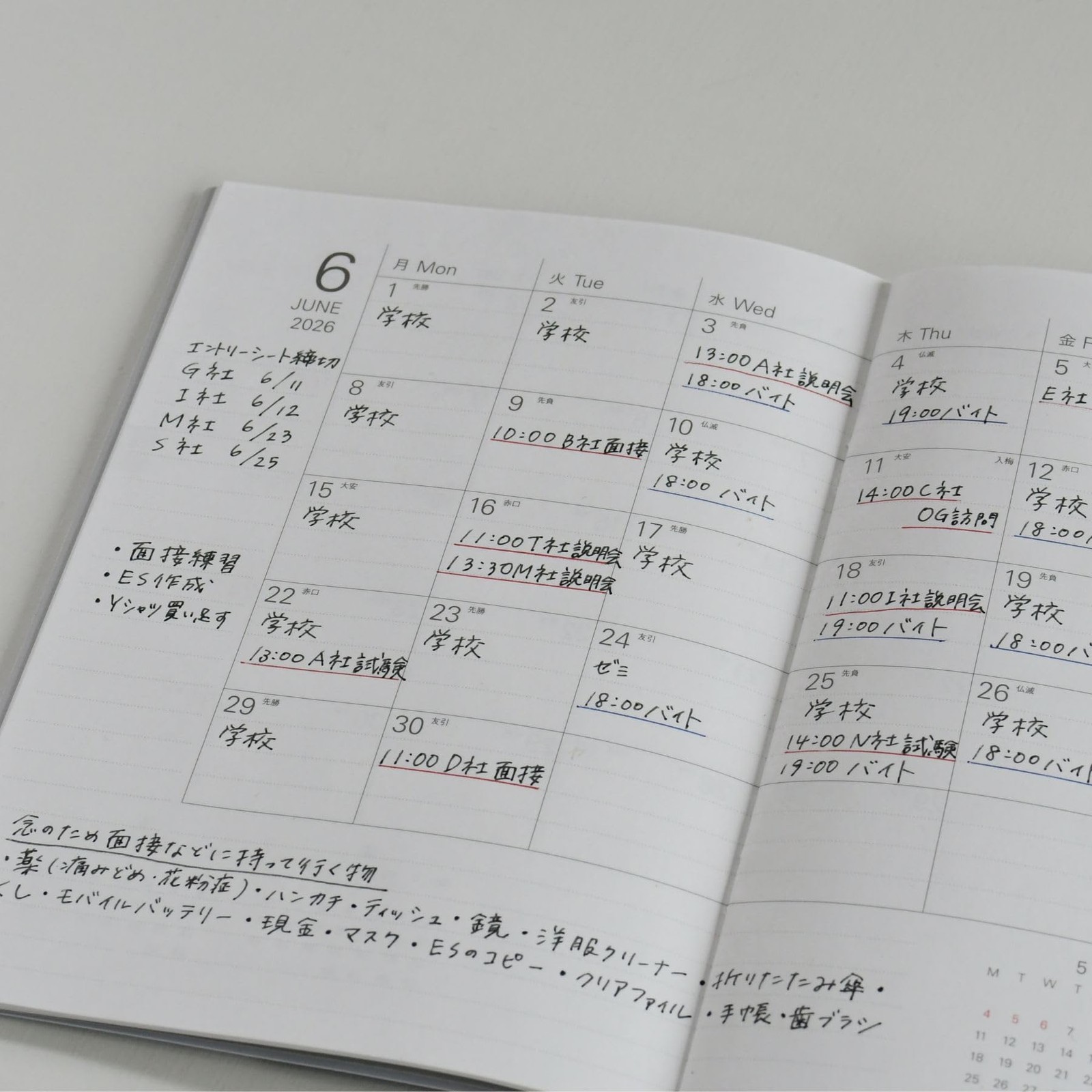 Raymay Fujii 2026 Planner, System Note Diary, Monthly Block Diary with A5 Size
