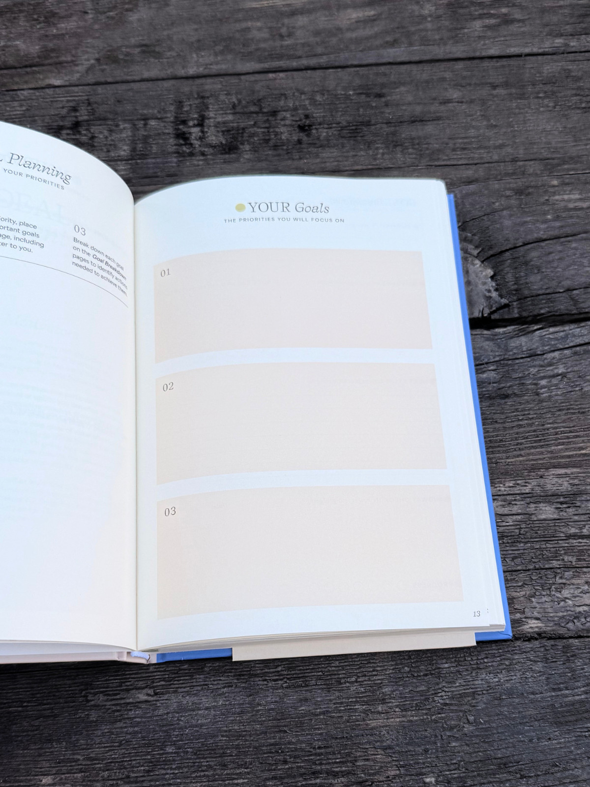 NEW Blue & Cream Papier “Start Fresh Everyday” 16 Week Productivity Planner