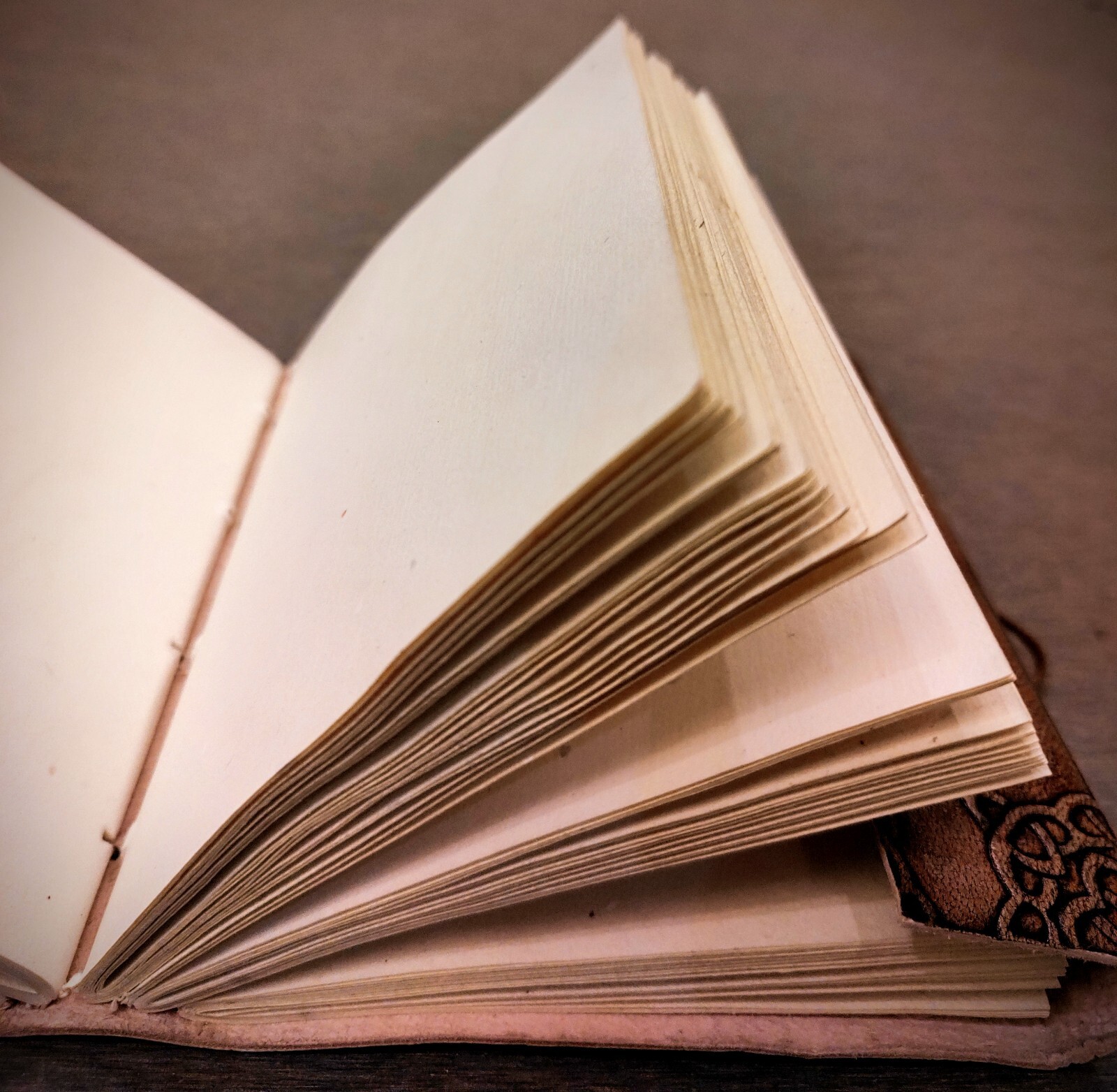 Handmade Tree of Life Embossed Leather Bound 200 Page Unlined Unisex Journal