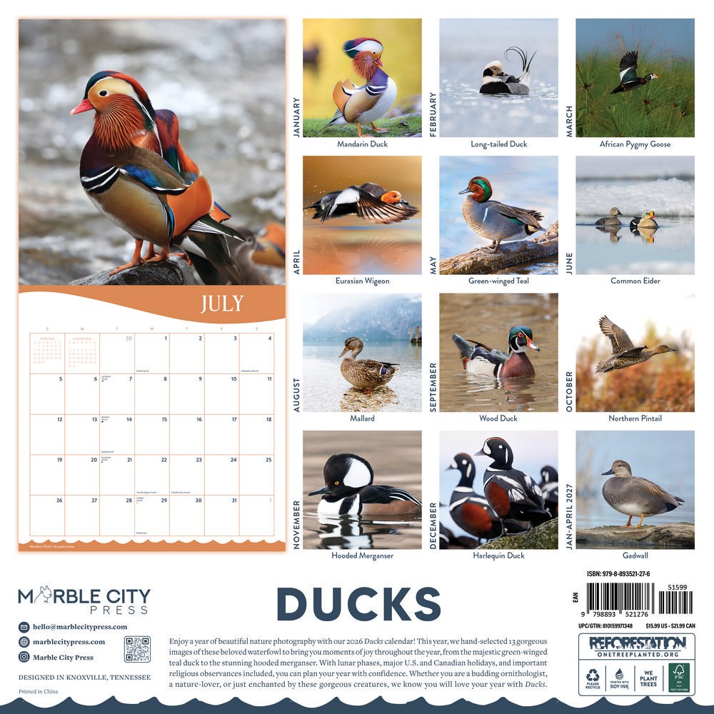 Ducks Calendar 2026 | 12″ x 24″ Cute Duck Calendar 12 Month | Marble City Press