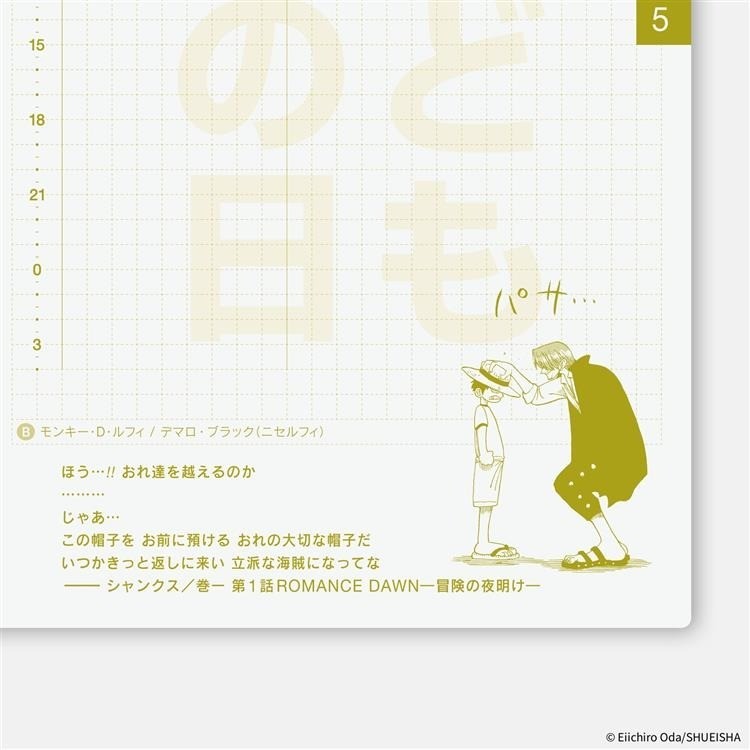 Hobonichi Techo ONE PIECE Edition A6 Size / Daily / Jan 2026 start / Mon start
