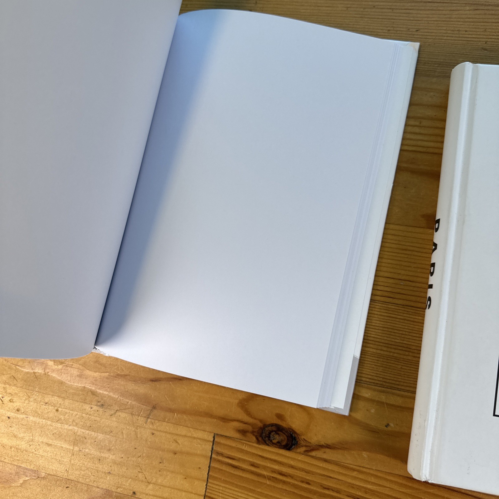 Lot Of Two New Journals London & Paris 9.5” X 6.5” Blank Unlined Pages Hardcover