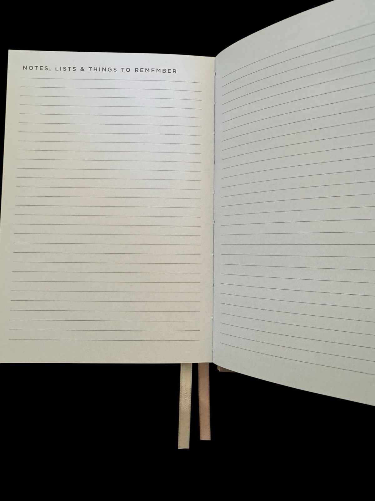 Every Moment is Beautiful by Compendium: 12-Month Undated Planner — New