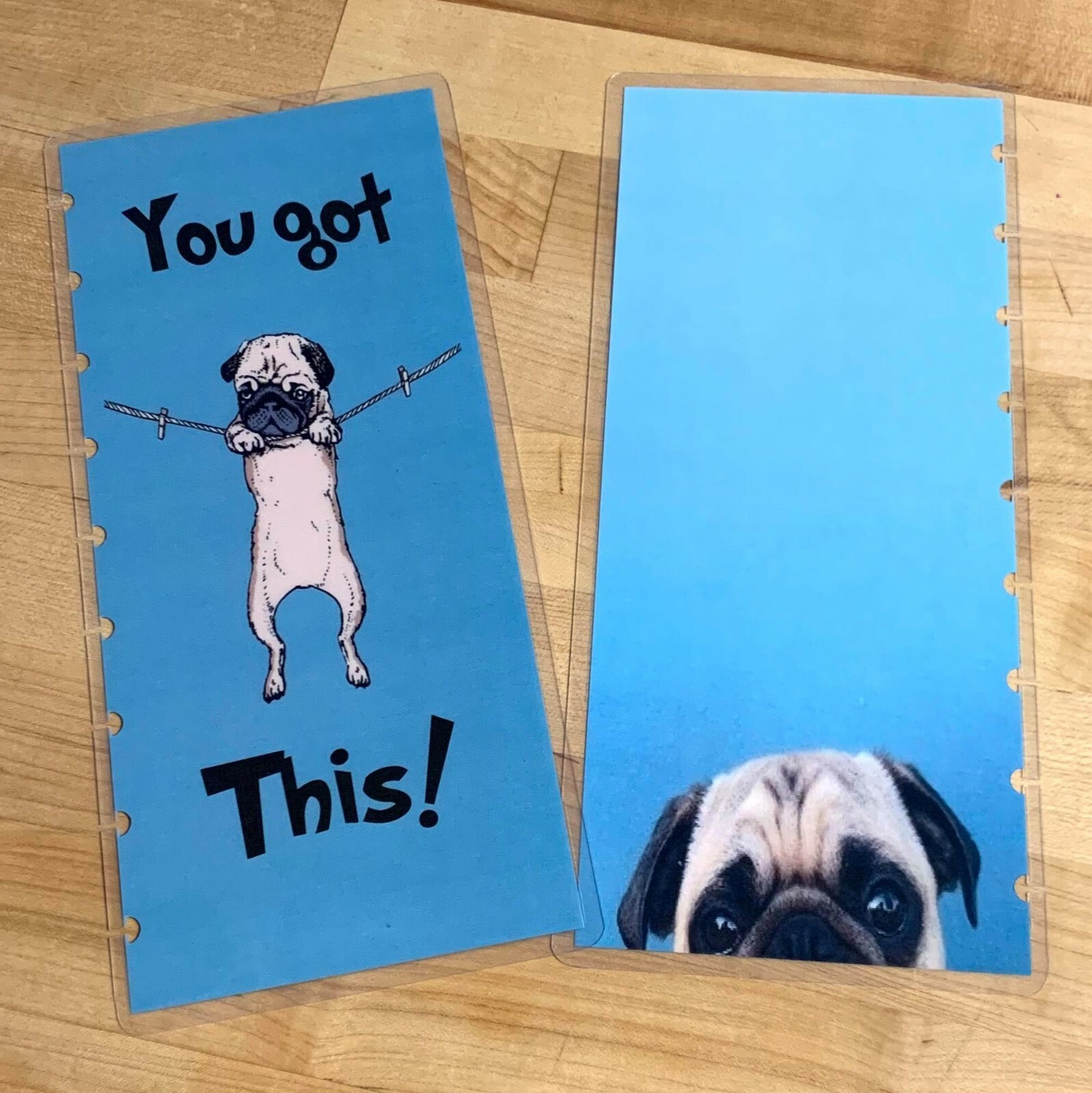 Pug “You Got This” Cover Set 4 use w Skinny Classic Happy Planner~