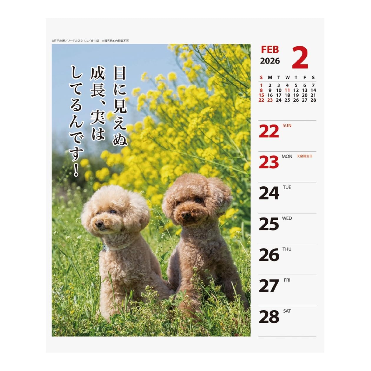 Art Print Japan 2026 Calendar Poodle Senryu Weekly