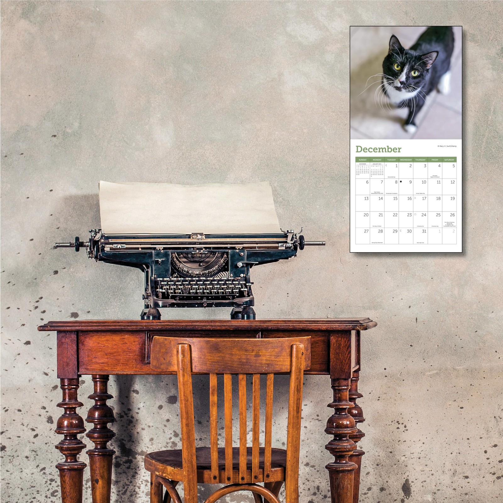 Cats Mini Wall Calendar 7″ x (2026) 7″W x 7″H, Multicolor