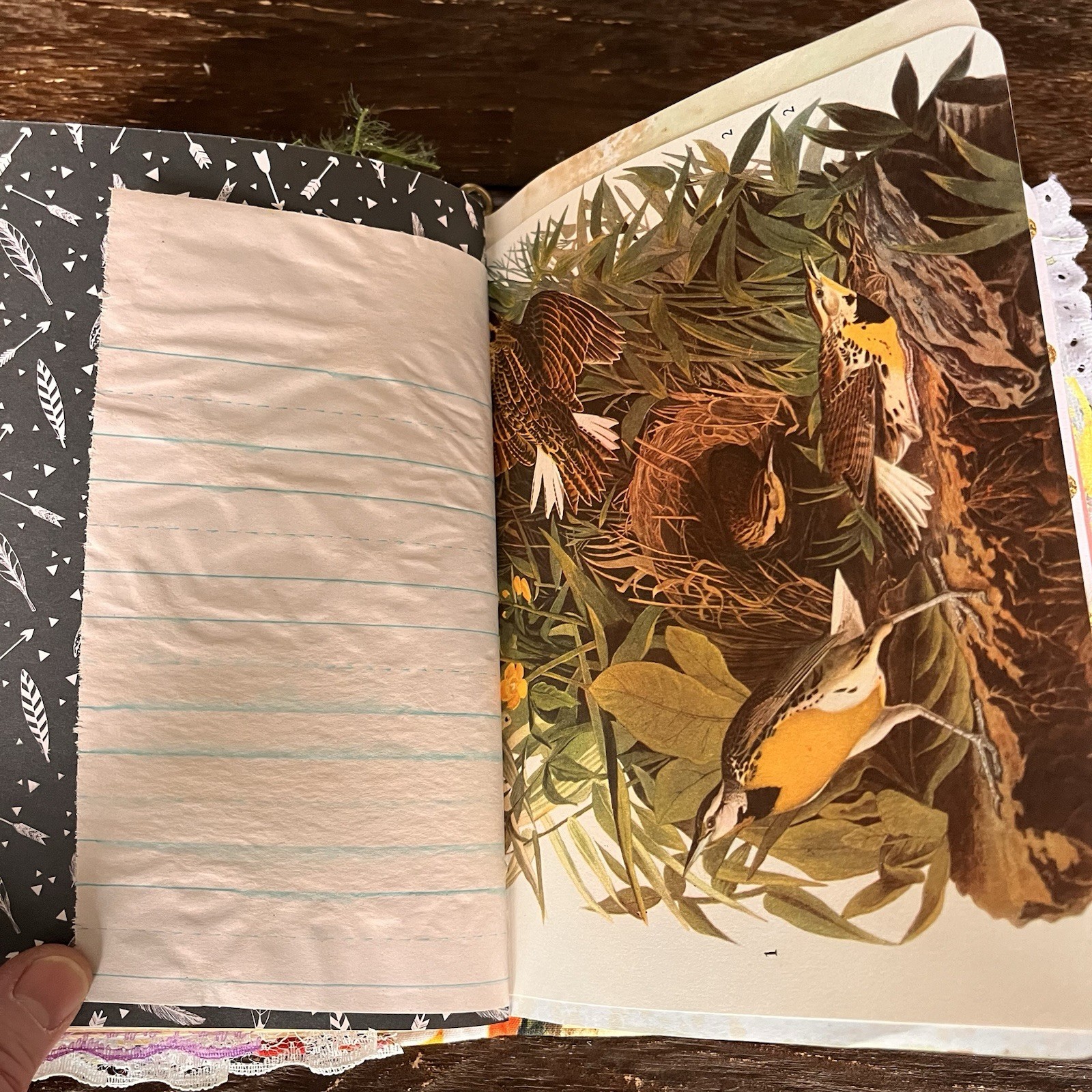 Bird Themed Junk Journal 3 Signatures Softcover Decorated Floral Colorful