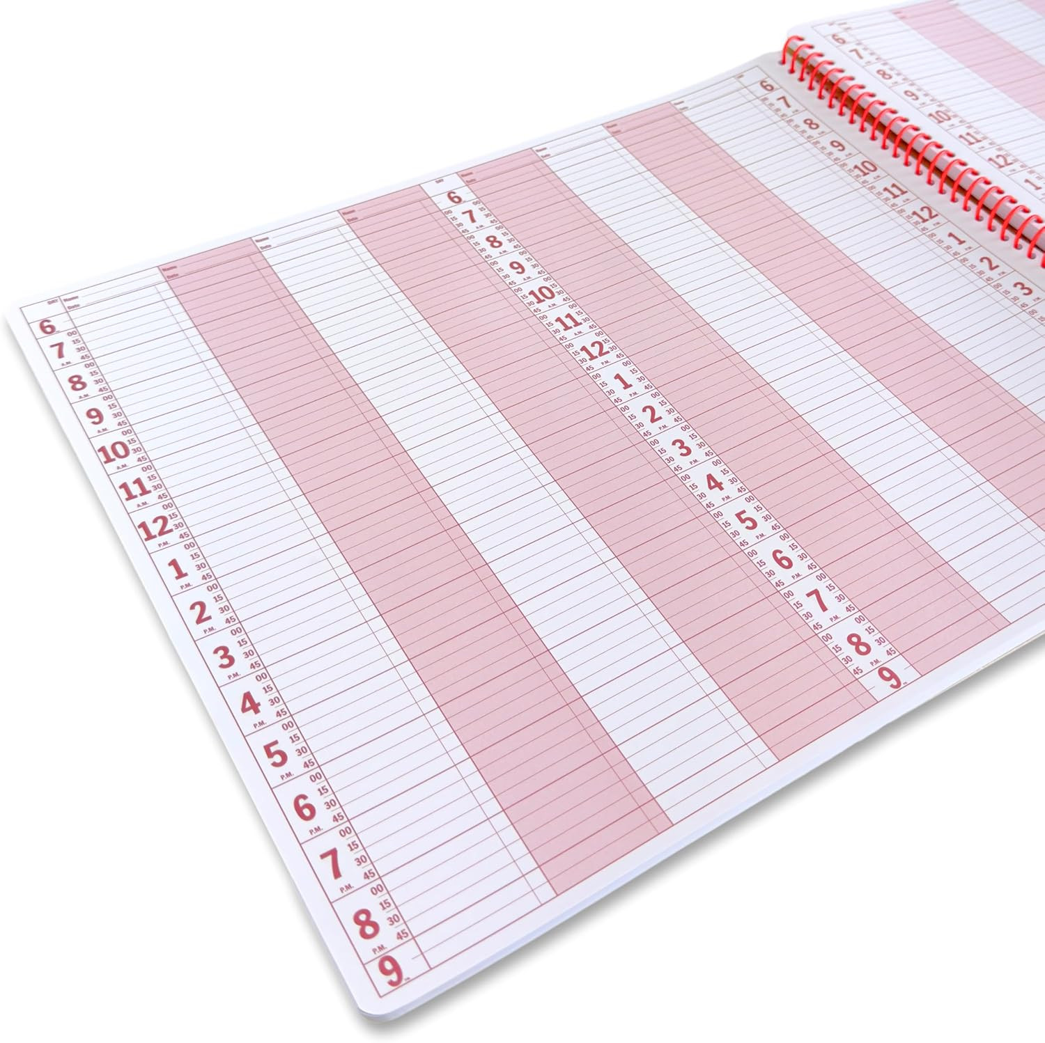 Business Appointment Book and Daily Planner – Undated Appointment Book, Hourly P