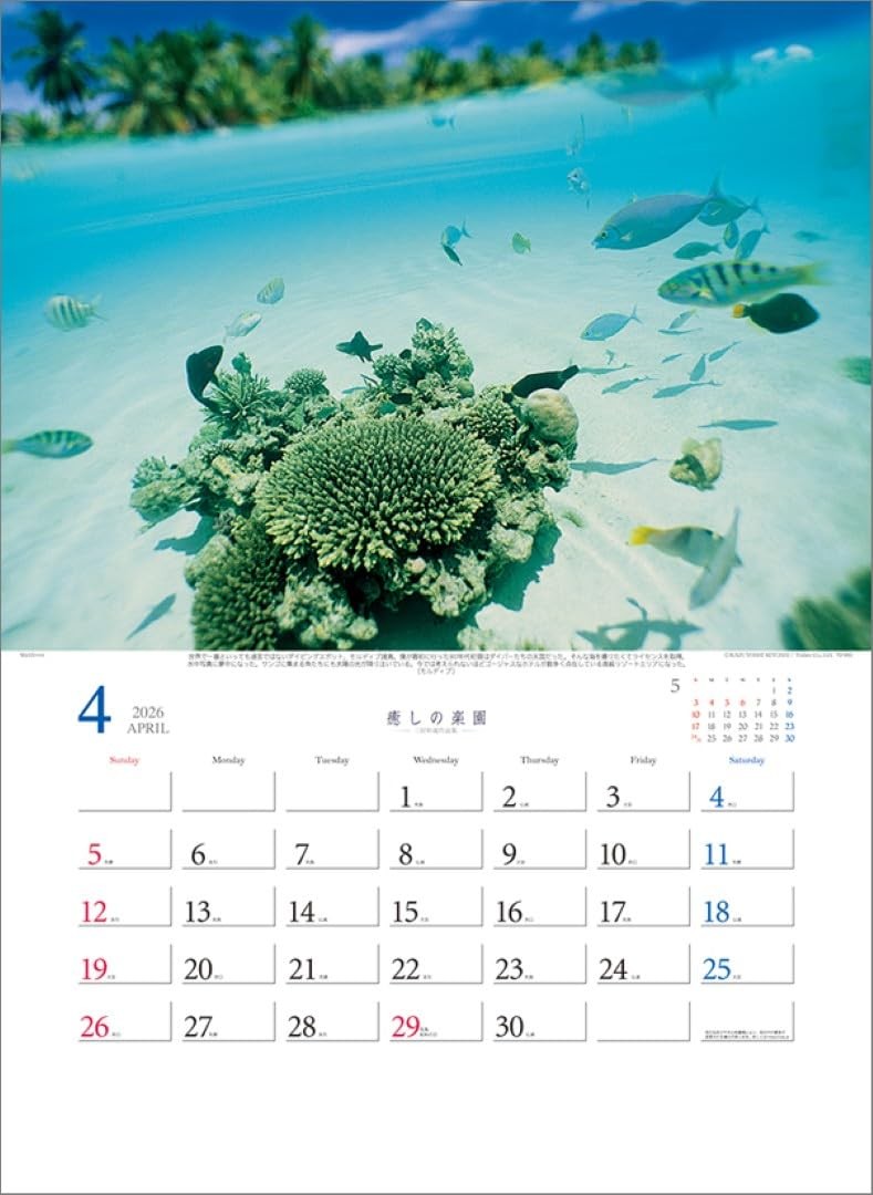 Healing Paradise – Kazuyoshi Miyoshi Works Collection – TD-30653 2026 Wall Calen