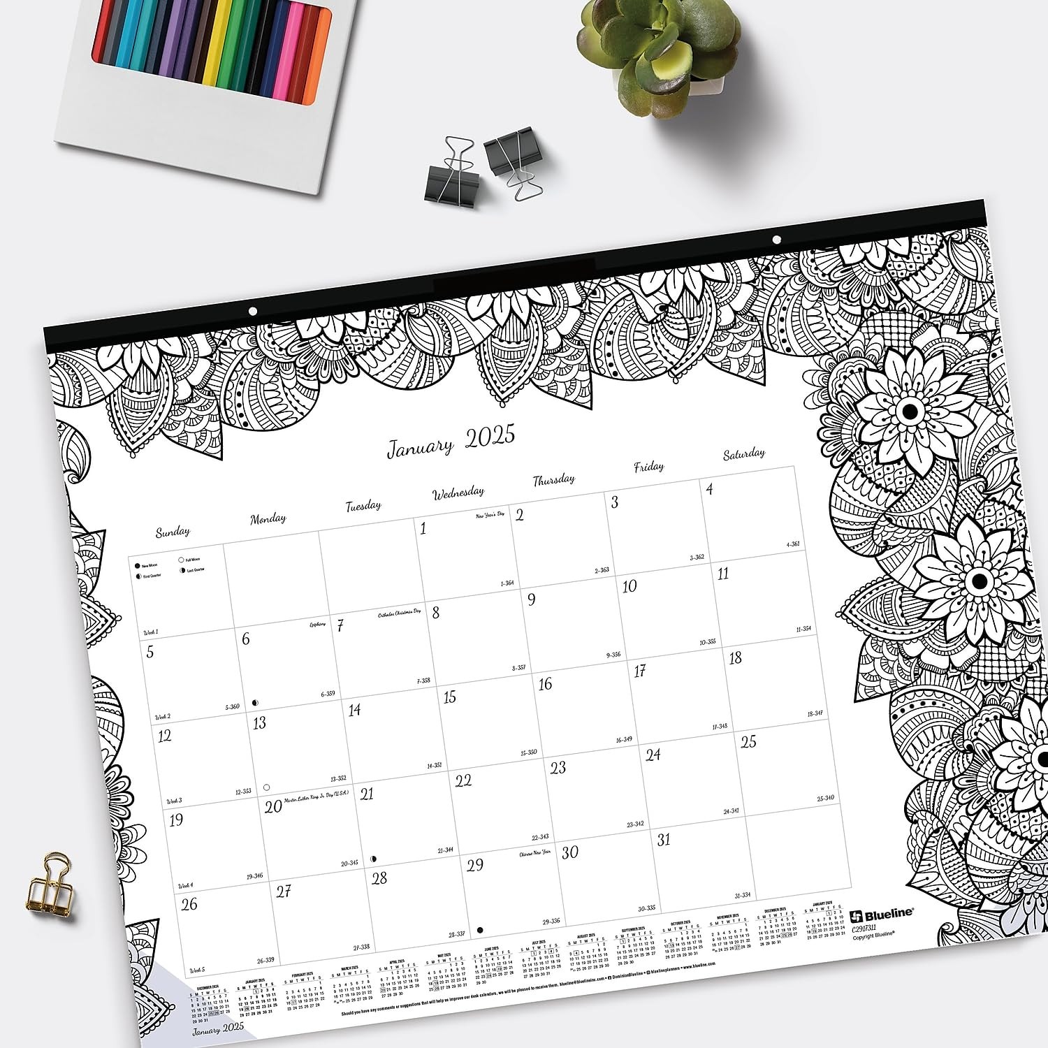 2025 Blueline DoodlePlan Botanica 22-inch x 17-inch Monthly Coloring Black