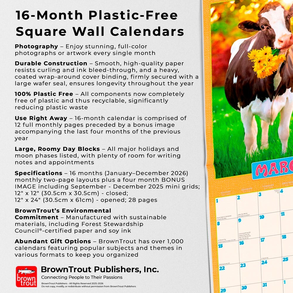 Avanti Funny Farm OFFICIAL | 2026 12×24″ Square Wall Calendar | Plastic-Free