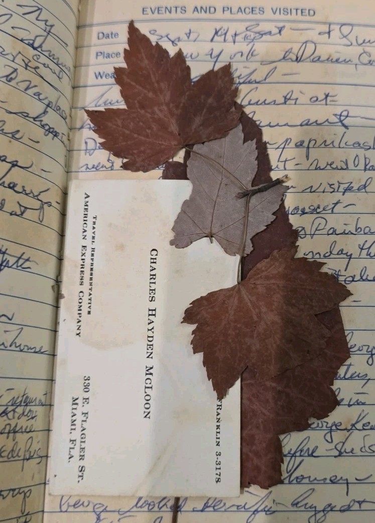 Vintage Trip Abroad Journal Diary Filled With Writing Stamps And Pressed Leaves