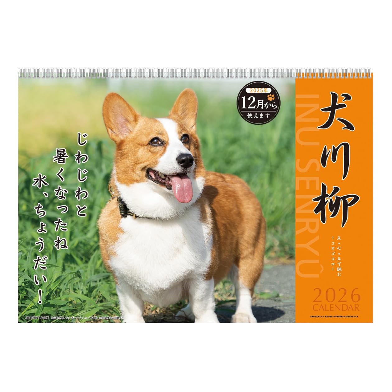 Art Print Japan 2026 Calendar Corgi Senryu