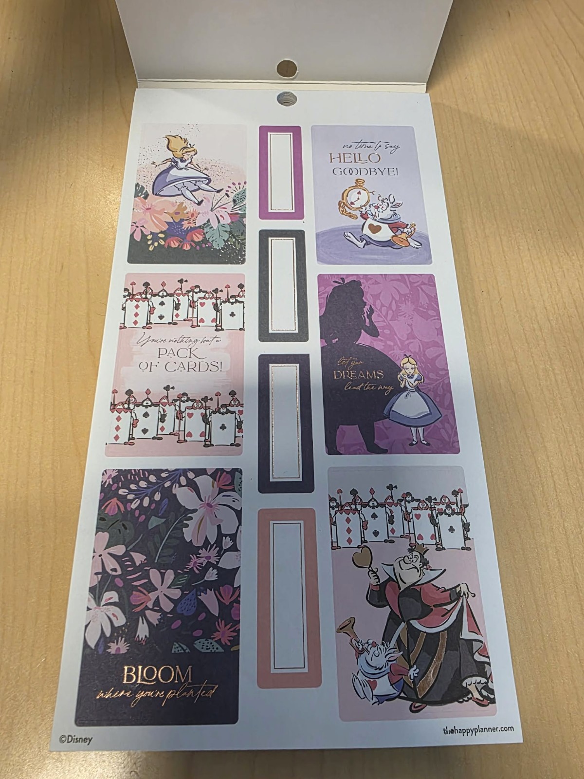 The Happy Planner Disney Alice In Wonderland 629 Stickers