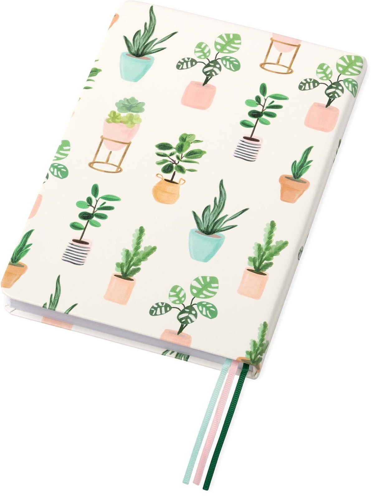 A5 Medium Succulent Notebook Flexibound Journal With 256 Pages And Ribbons