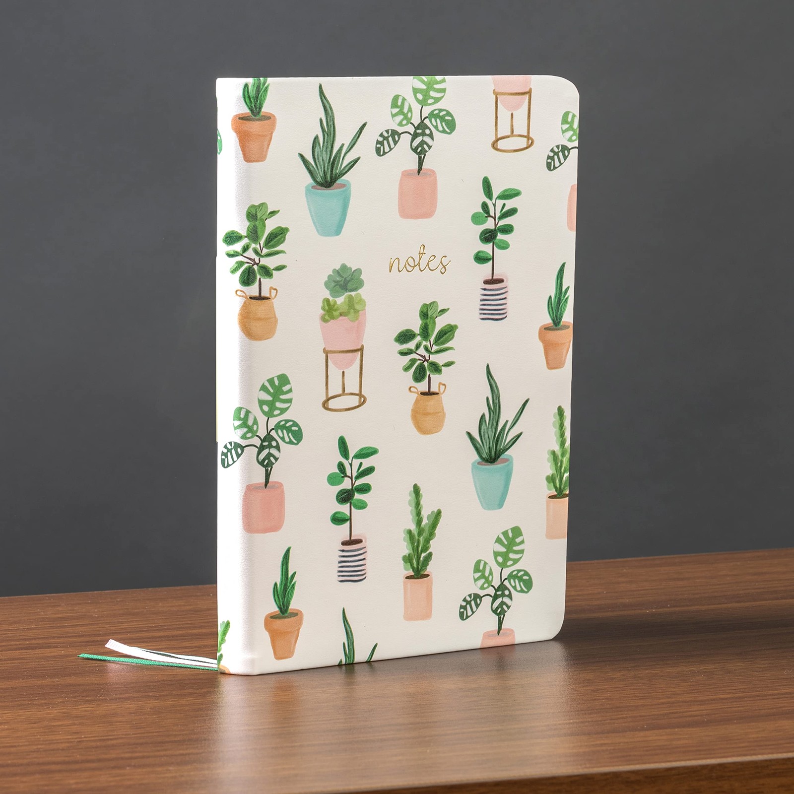 A5 Medium Succulent Notebook Flexibound Journal With 256 Pages And Ribbons