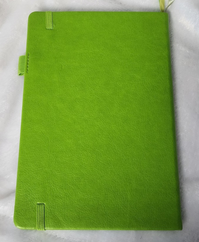 Clever Fox Budget Planner Green HB 3 Ribbon Marks / Elastic Closure Stickers etc