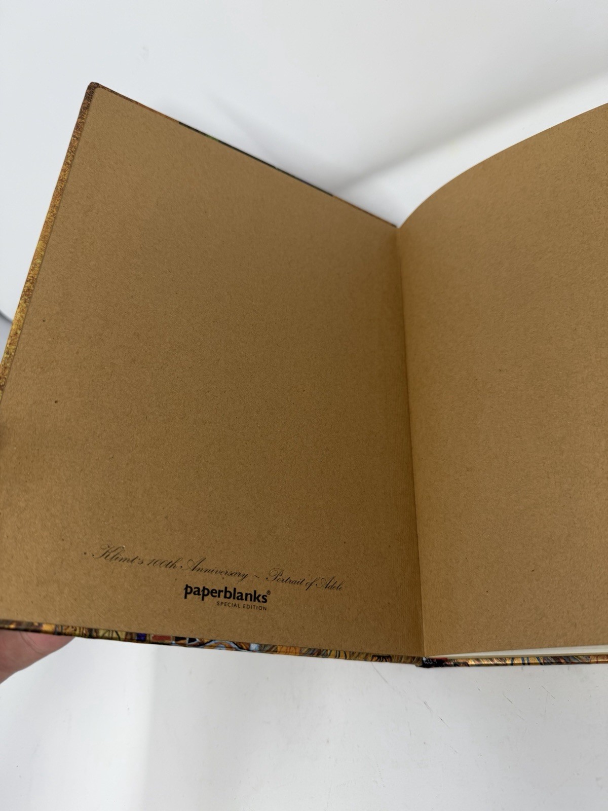 Paperblanks Portrait of Adele Bloch-Bauer I Journal 144 Pages Unlined New