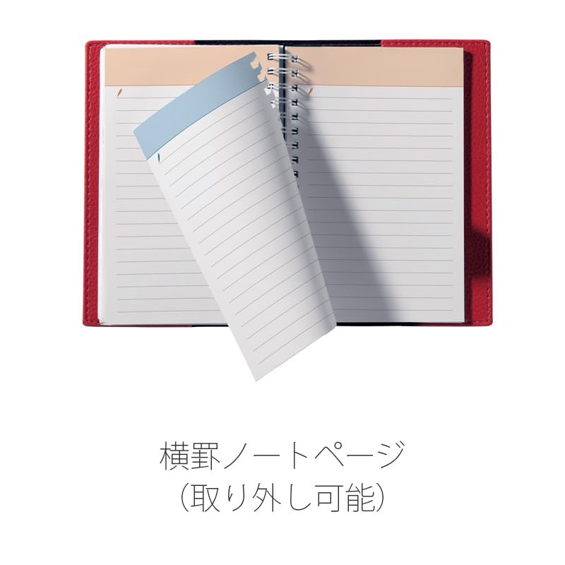 QUOVADIS Diary “Time and Life 10×15” Black qv539bk