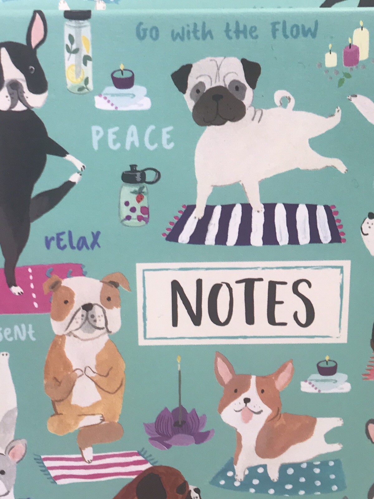 Clementine Dog Yoga Pose Lined Spiral Journal Notebook Recycled Fiber