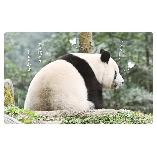 2026 Calendar Xiang Xiang Panda Senryu in China by Takahiro Takashifrom JP
