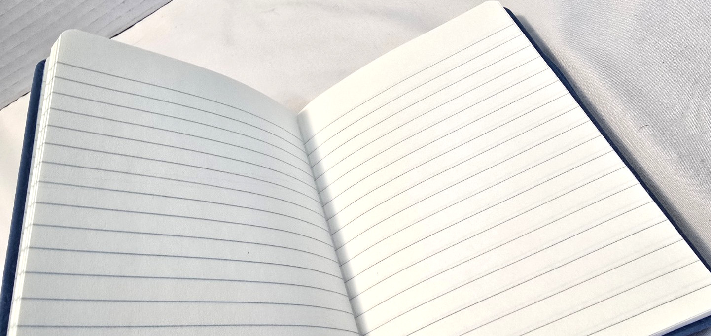 NEW Bird Hardcover Journal 80 Lined Pages 4″x 5.75″ w/ elastic band -Blue/ gold