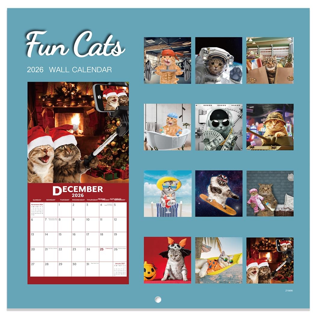 2026 Calendar – 2026 Wall Calendar, Funny Cat 2026, JAN 2026 – DEC…