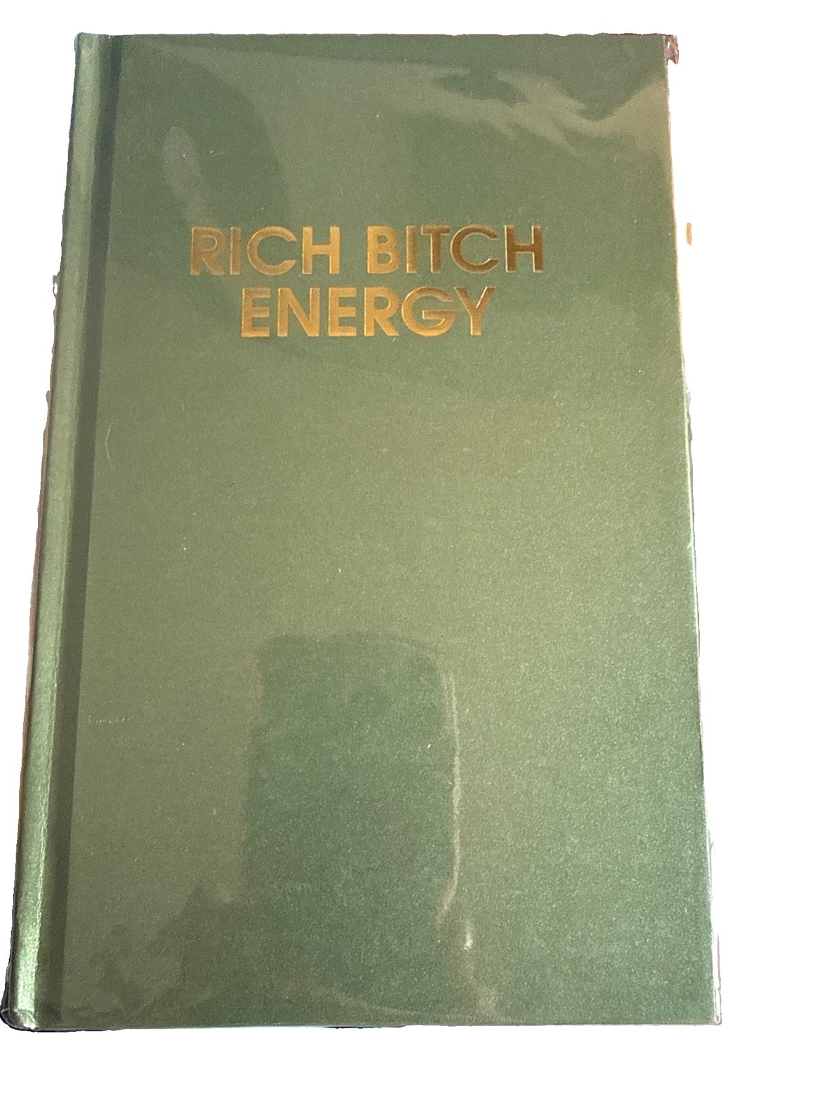 NEW Chez Gagne’ Rich Bitch Energy Journal Hardcover Notebook Journal 256 Pages