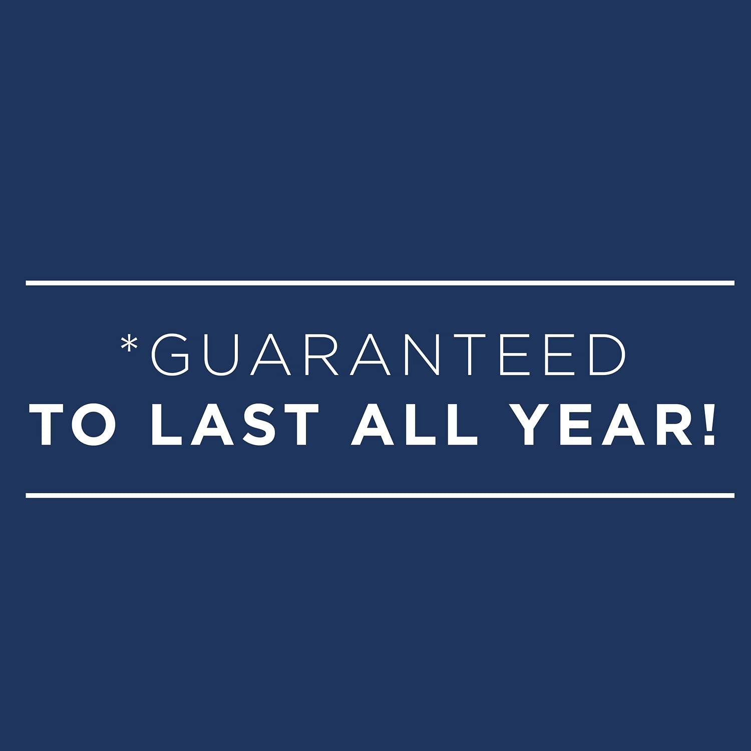 2024 Weekly Planner, Quarter-Hourly Appointment Book, 8-1/4″ x 11″, Large, Na…