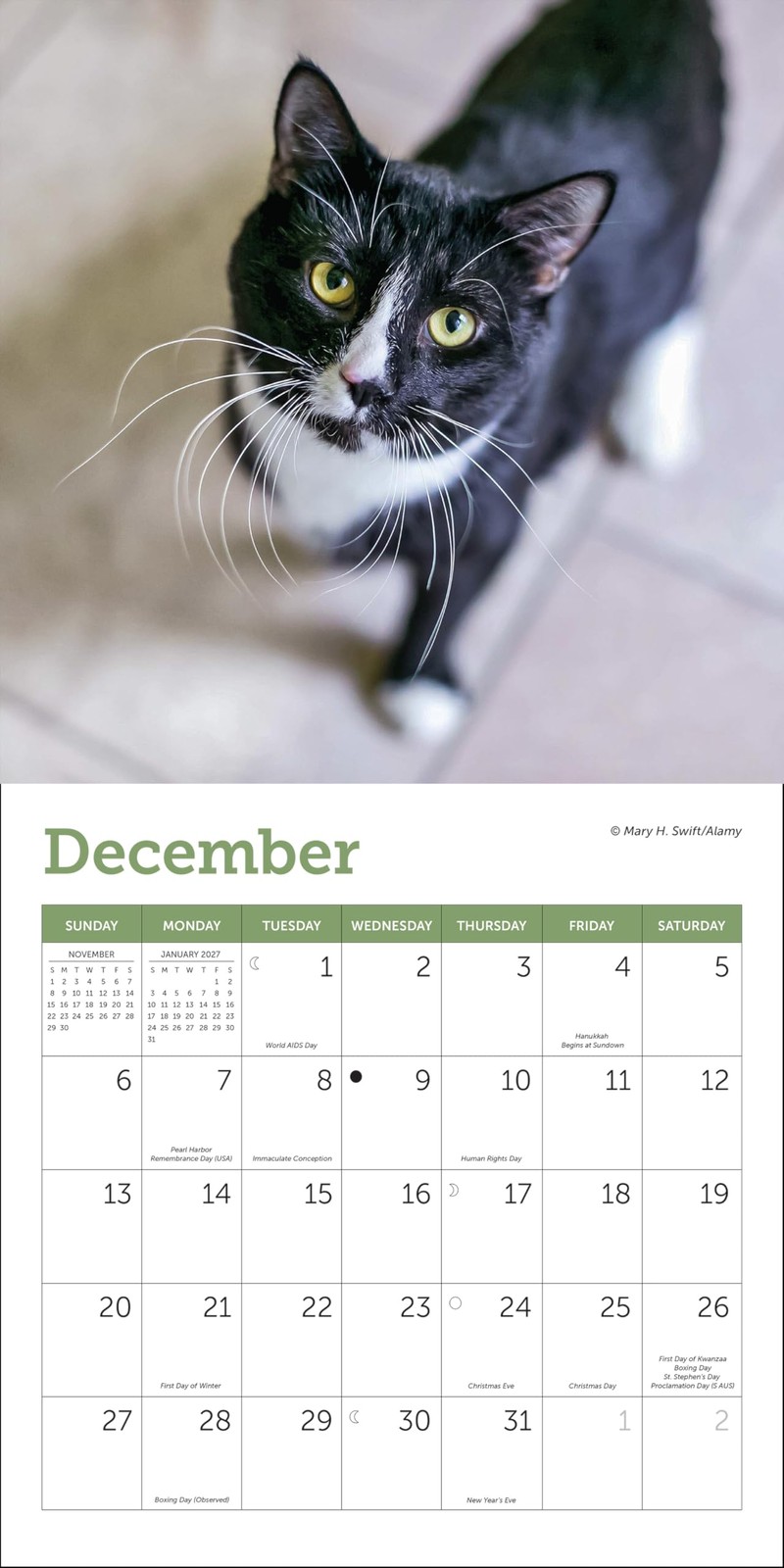 Cats Mini Wall Calendar 7″ x (2026) 7″W x 7″H, Multicolor