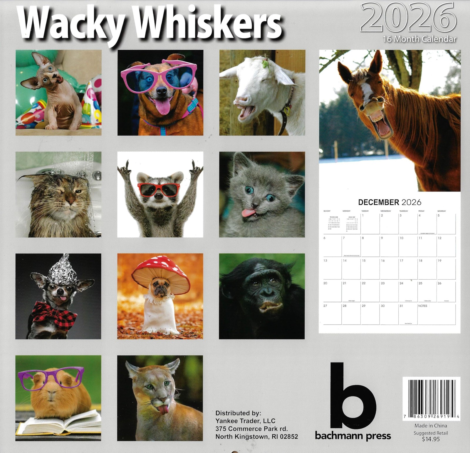2026 Wacky Whiskers Full Size Wall Calendar for Planning, Scheduling, and…