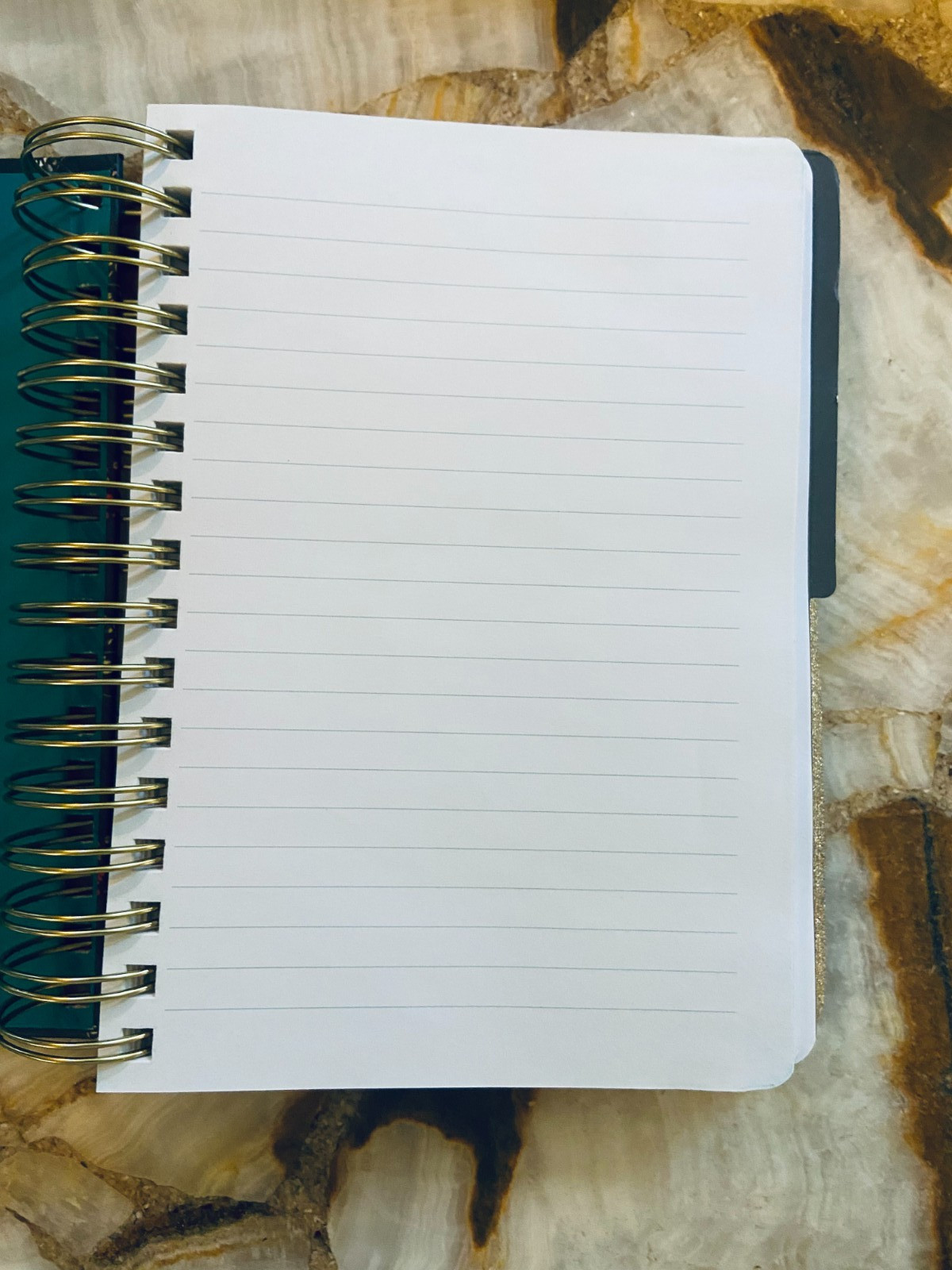 C.R.GIBSON~Portmeirion~Botanic Garden Harmony~Twin Wire~3-in-1 Notebook